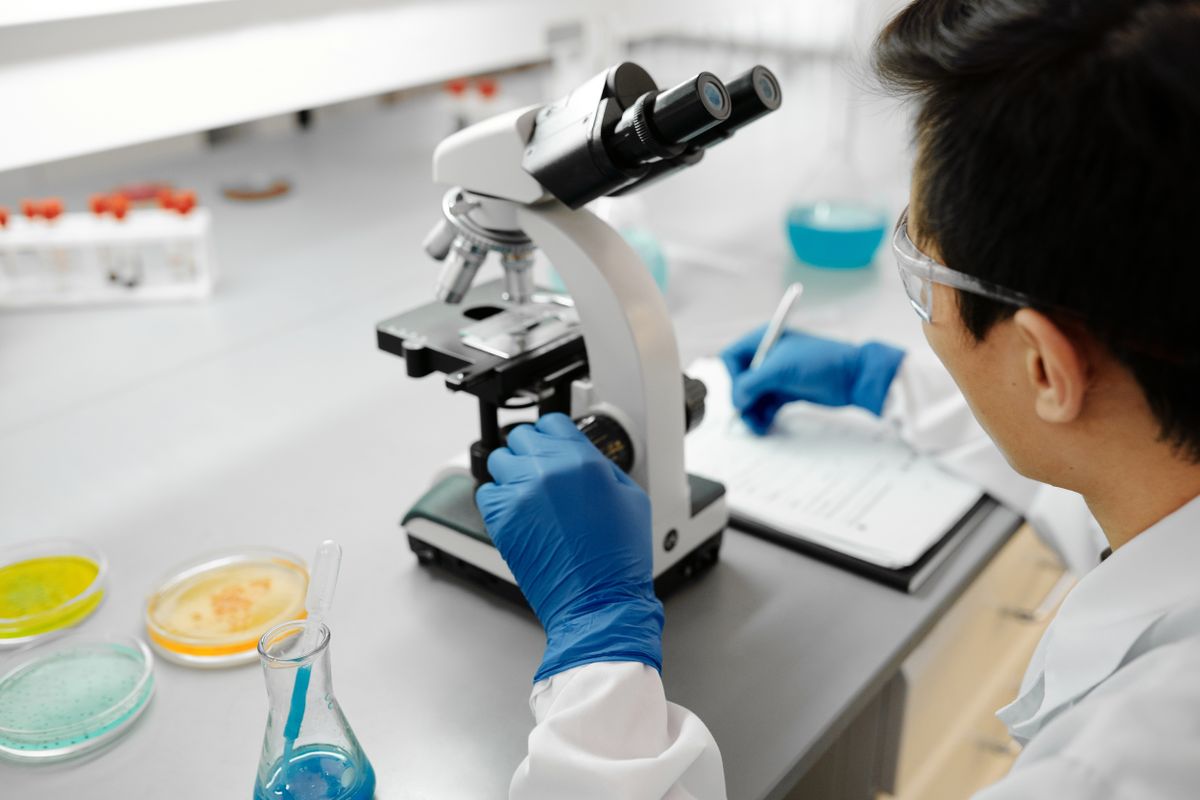 Analyse d’échantillons au microscope